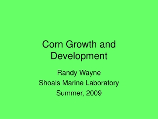 Corn Growth and Development