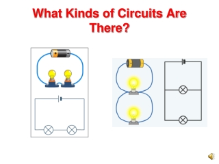 What Kinds of Circuits Are There?
