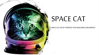 SPACE CAT