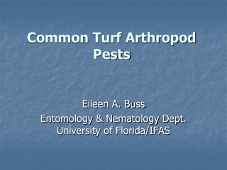 Common Turf Arthropod Pests