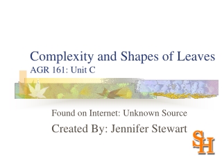 Complexity and Shapes of Leaves AGR 161: Unit C