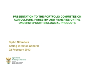 Sipho Ntombela Acting Director-General  22 February 2013