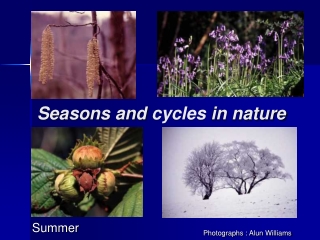 Seasons and  cycles  in nature