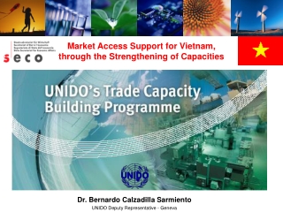 Market Access Support for Vietnam,  through the Strengthening of Capacities