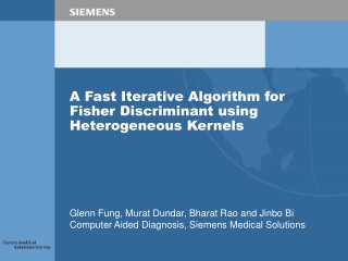 A Fast Iterative Algorithm for Fisher Discriminant using Heterogeneous Kernels