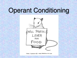 Operant Conditioning