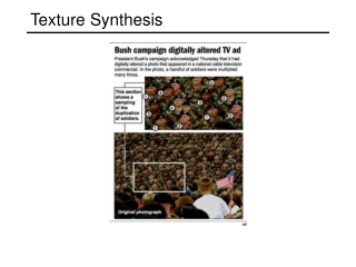 Texture Synthesis