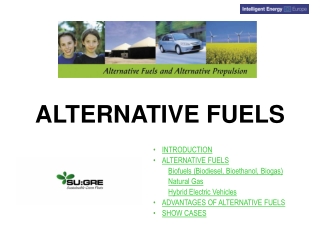 ALTERNATIVE FUELS