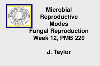 Microbial Reproductive Modes Fungal Reproduction Week 12, PMB 220 J. Taylor