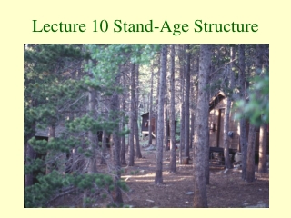 Lecture 10 Stand-Age Structure