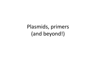 Plasmids, primers  (and beyond!)