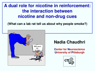 A dual role for nicotine in reinforcement:  the interaction between  nicotine and non-drug cues