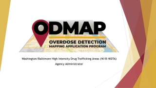 Washington/Baltimore High Intensity Drug Trafficking Areas (W/B HIDTA) Agency Administrator