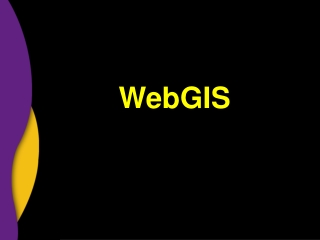 WebGIS