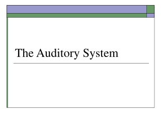 The Auditory System