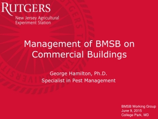 Management of BMSB on Commercial Buildings