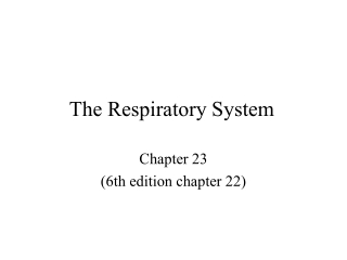 The Respiratory System