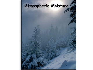 Atmospheric Moisture