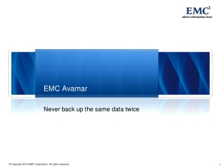 EMC Avamar