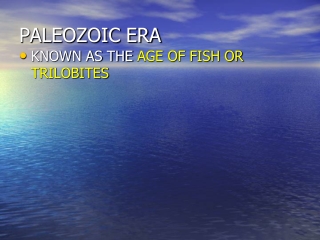 PALEOZOIC ERA