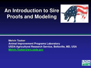 An Introduction to Sire Proofs and Modeling