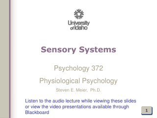 Sensory Systems