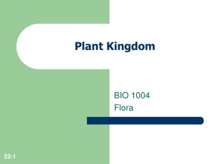 Plant Kingdom