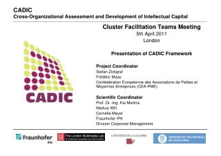CADIC  Cross-Organizational Assessment and Development of Intellectual Capital