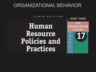 ORGANIZATIONAL BEHAVIOR