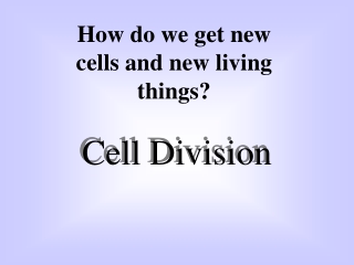 Cell Division