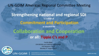 UN-GGIM Americas Regional Committee Meeting