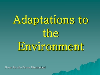 Adaptations to the Environment