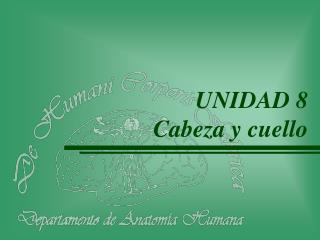 UNIDAD 8 	Cabeza y cuello