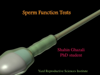 Sperm Function Tests