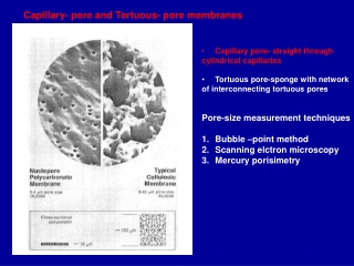 Capillary- pore and Tortuous- pore membranes