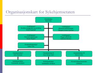 Organisasjonskart for Sykehjemsetaten