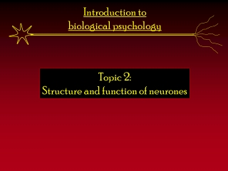 Introduction to  biological psychology