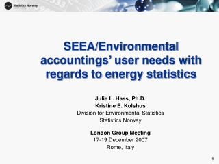 SEEA/Environmental accountings’ user needs with regards to energy statistics