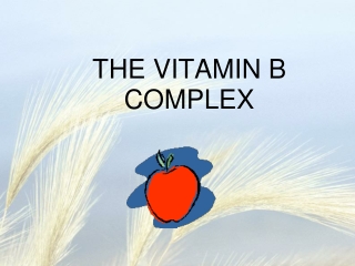 THE VITAMIN B COMPLEX
