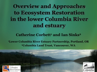 Overview and Approaches  to Ecosystem Restoration  in the lower Columbia River and estuary