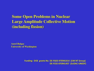 Some Open Problems in Nuclear  Large Amplitude Collective Motion (including fission)