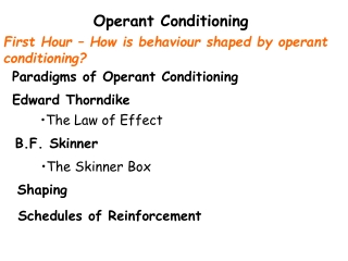 Operant Conditioning