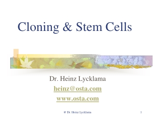 Cloning &amp; Stem Cells