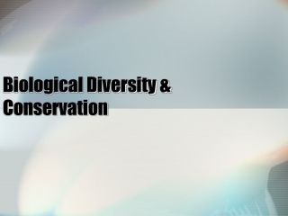 Biological Diversity &amp; Conservation