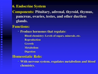 6. Endocrine System