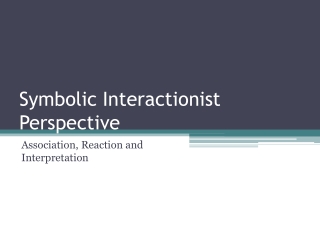 Symbolic Interactionist Perspective