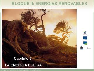 BLOQUE II: ENERGÍAS RENOVABLES