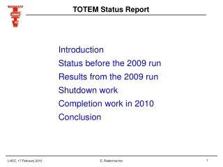 TOTEM Status Report