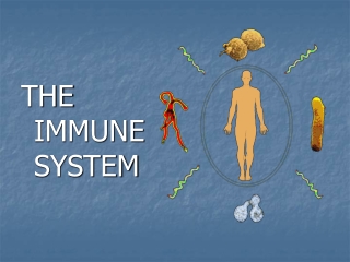 THE IMMUNE SYSTEM