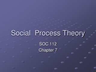 Social  Process Theory